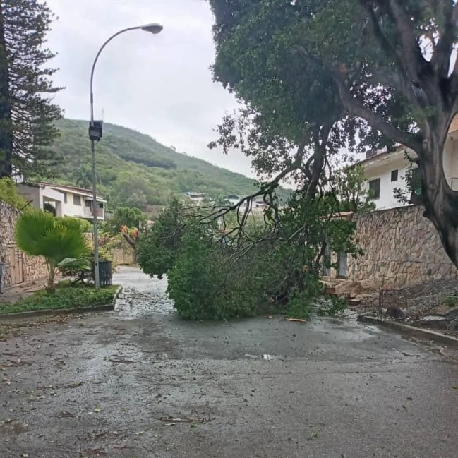 lluvias-caida-arboles-carabobo