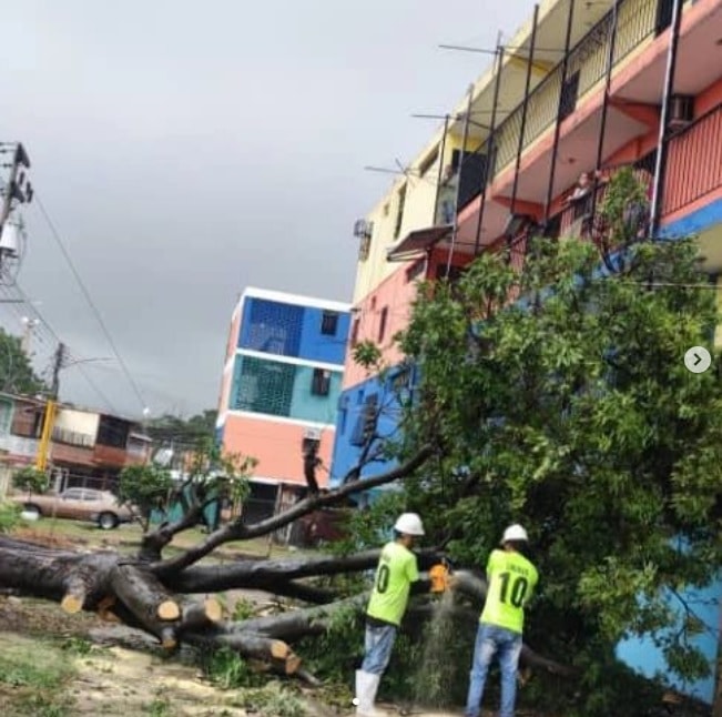 lluvias-caida-arboles-carabobo