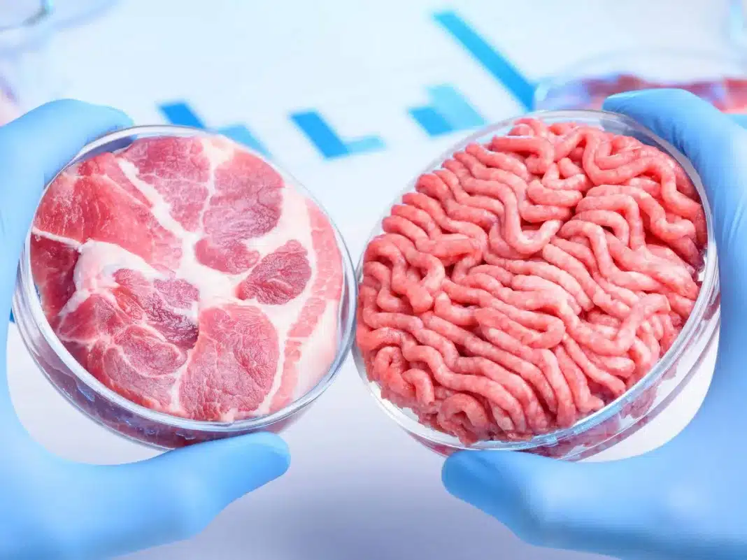 Singapur vende carne cultivada