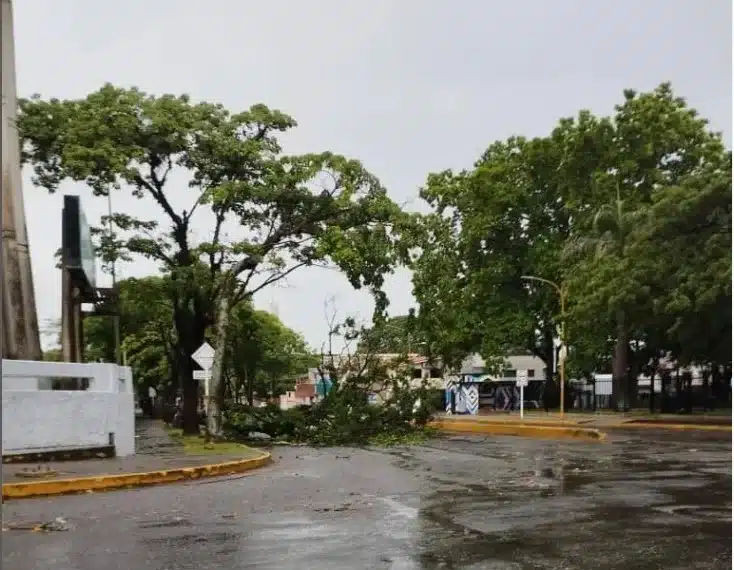 Las lluvias en Carabobo - Las lluvias en Carabobo
