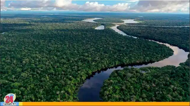 Cumbre de la Amazonía 2023 - Cumbre de la Amazonía 2023