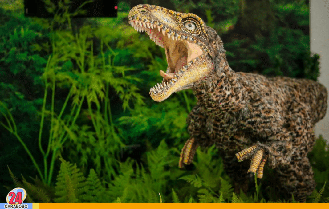 El Tachiraptor el dinosaurio venezola