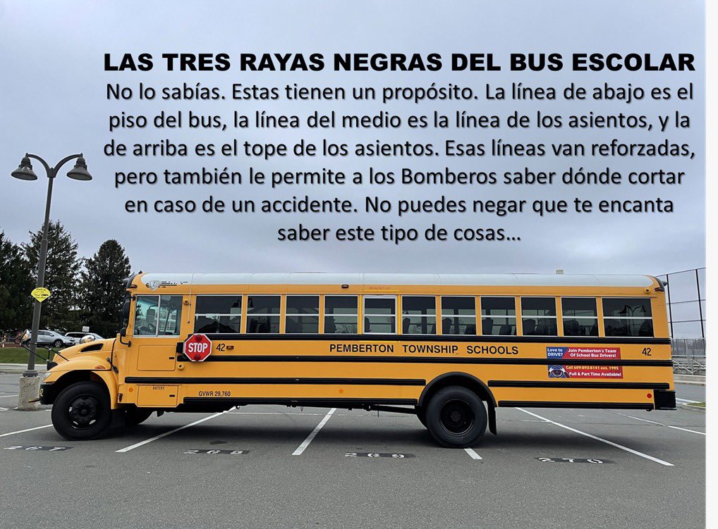 El bus escolar - El bus escolar