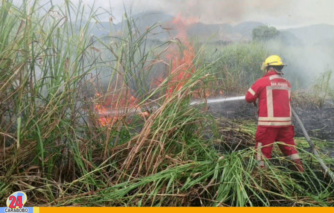 Incendios de vegetación en San Joaquín