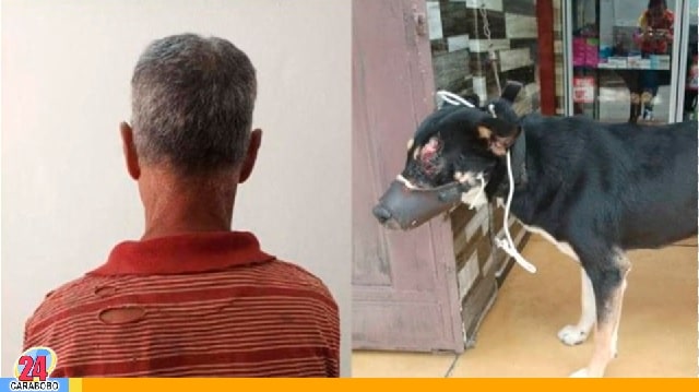 Maltrató a un perro en Mérida - Maltrató a un perro en Mérida
