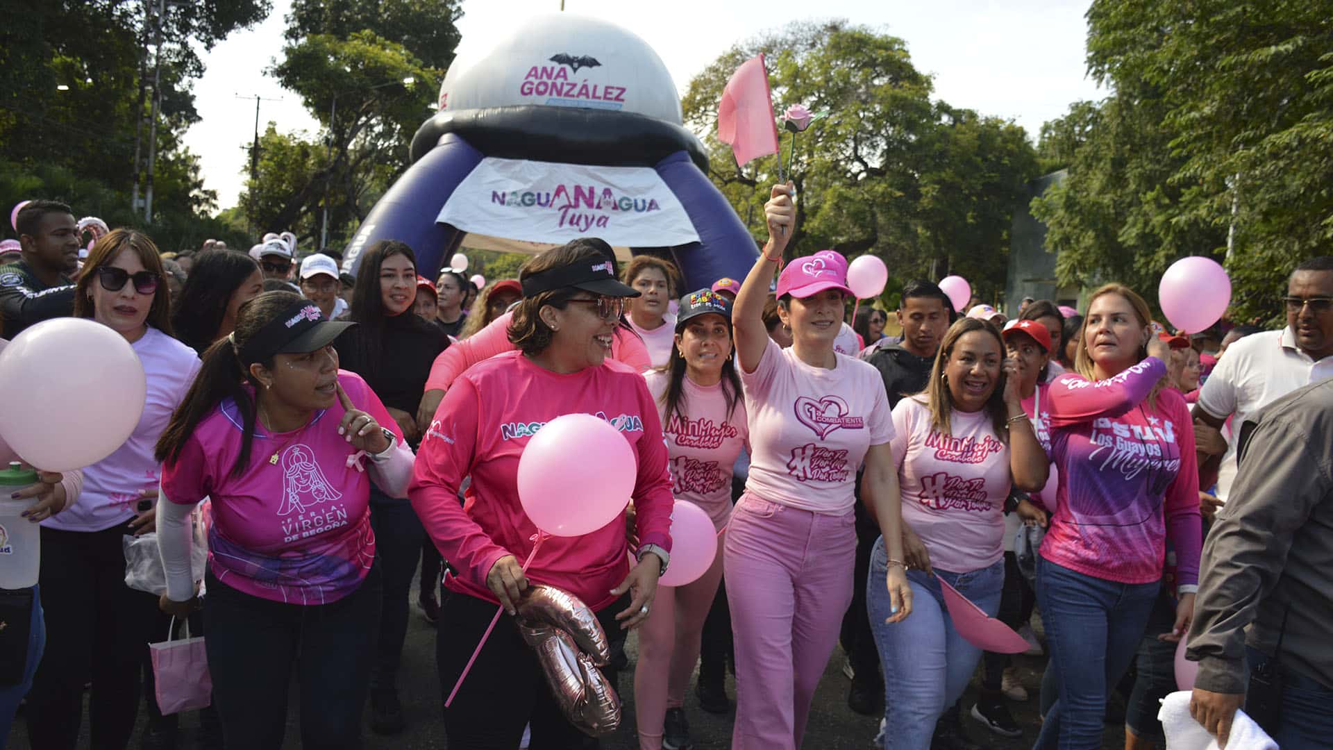 primera caminata rosa valencia