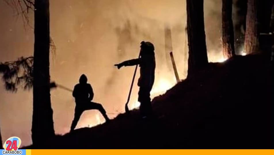 Provocar un incendio forestal en Venezuela - Provocar un incendio forestal en Venezuela
