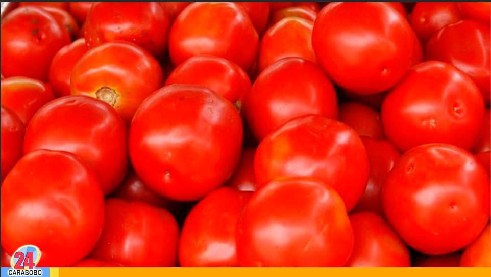 Precio del tomate en abril 2024 - Precio del tomate en abril 2024
