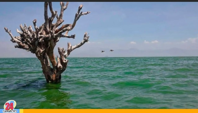 Cadáver encontrado en el Lago Los Tacarigua - Cadáver encontrado en el Lago Los Tacarigua