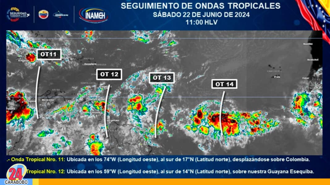 Onda Tropical 12