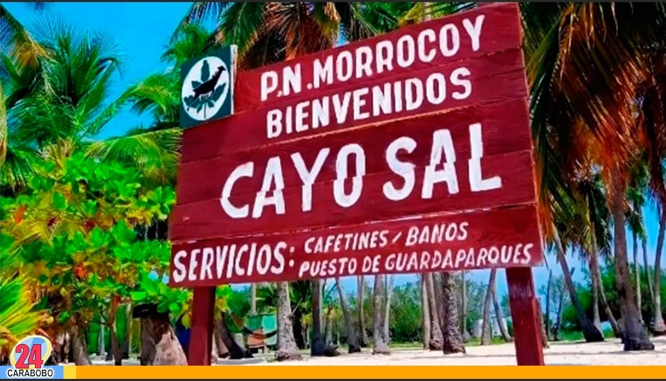 Cayos de Morrocoy en agosto - Cayos de Morrocoy en agosto