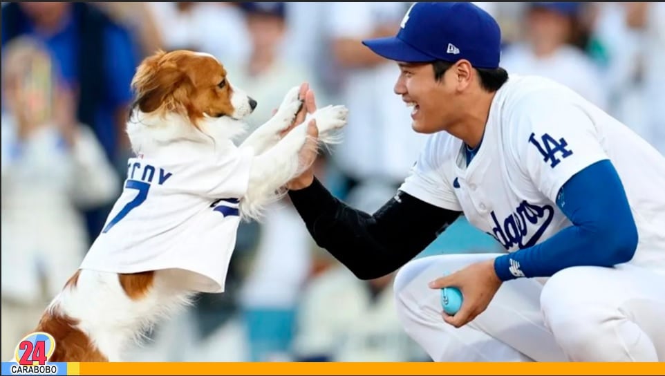 La mascota de Shohei Ohtani