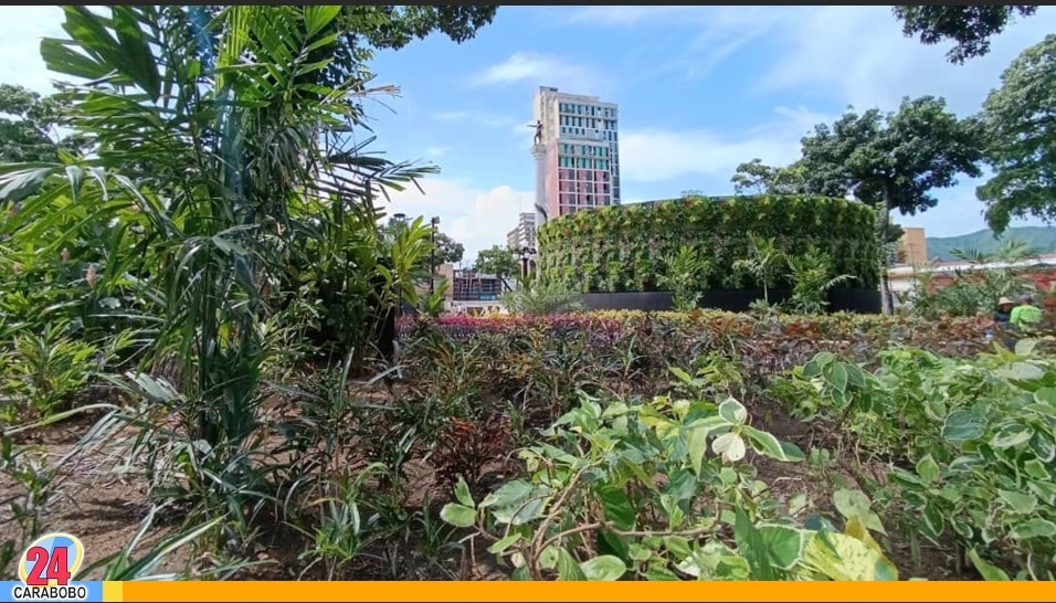 Jardines de la Plaza Bolívar de Valencia