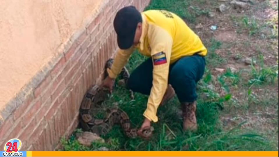 Tragavenado en Naguanagua - Tragavenado en Naguanagua