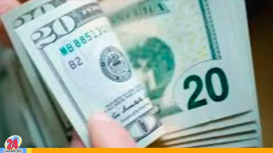 Dólar BCV hoy 12 de noviembre de 2024