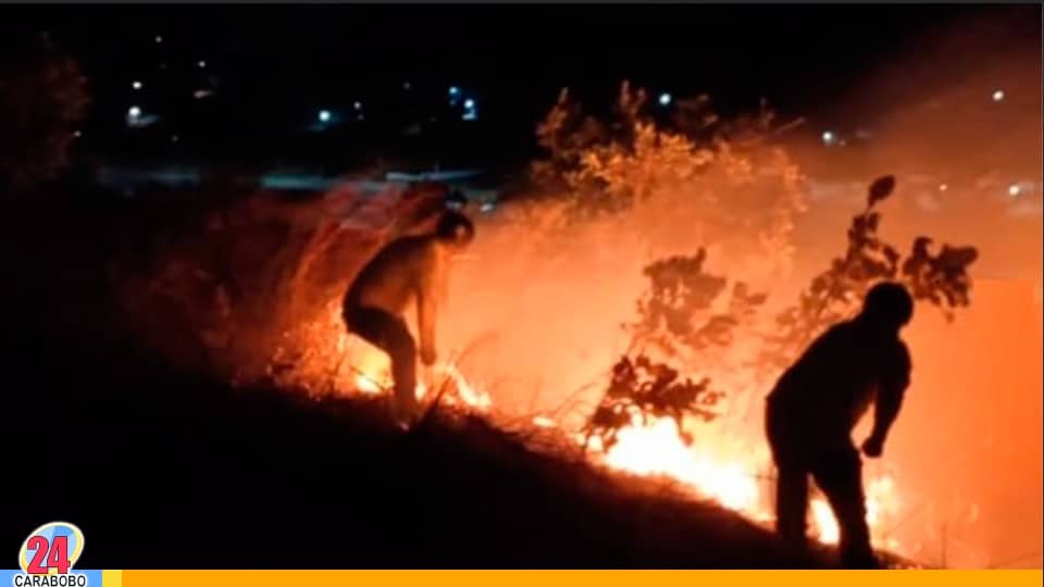 Incendio de vegetación en el Cerro El Café