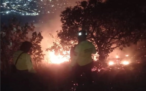 Incendio de vegetación en el Cerro El Café