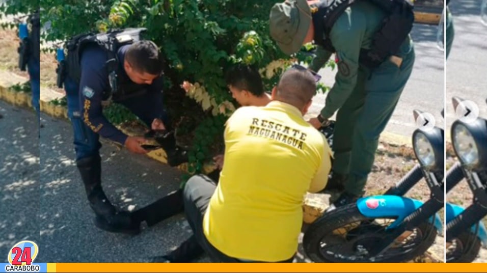 Hecho vial en la avenida Andrés Eloy Blanco