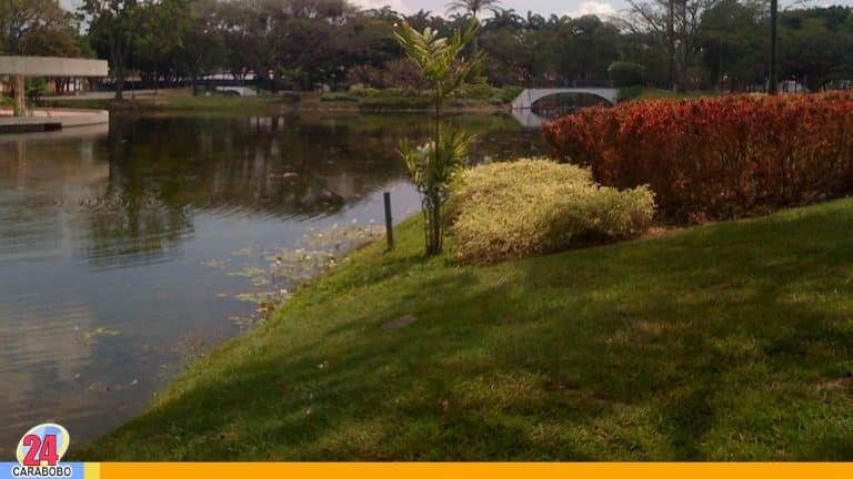 Cuándo se inauguró el Parque Recreacional Sur en Valencia