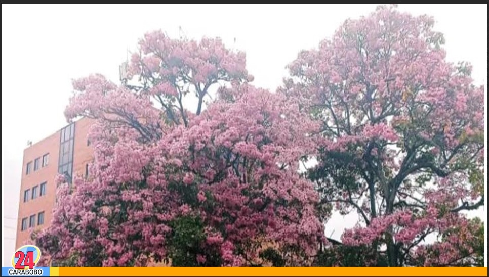 Clima hoy 2 de mayo de 2025
