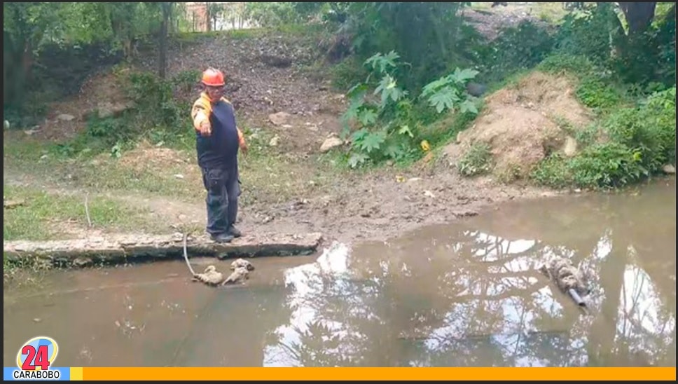 Joven de 13 años se ahogó en Puerto Cabello