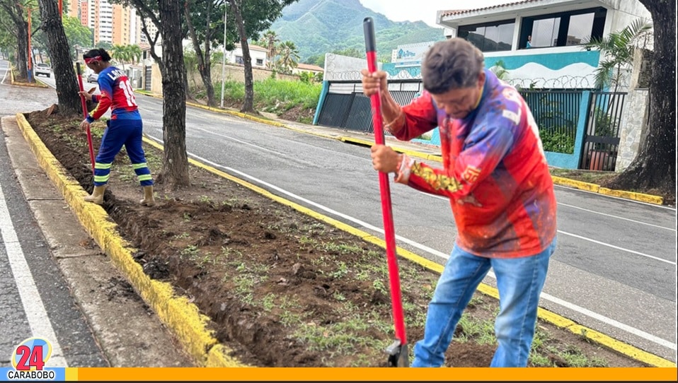 Avenida Nuevo Río Orinoco