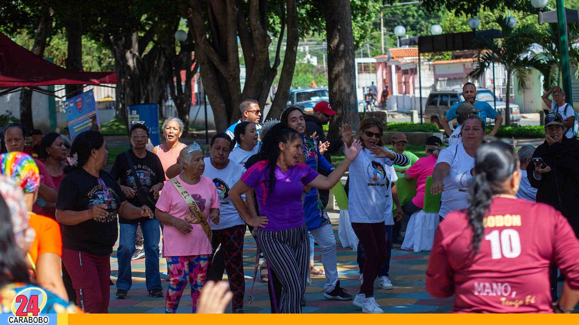 Día Nacional del Adulto Mayor