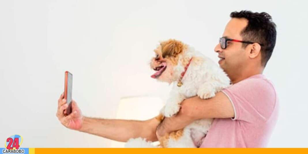 retos mascotas daños