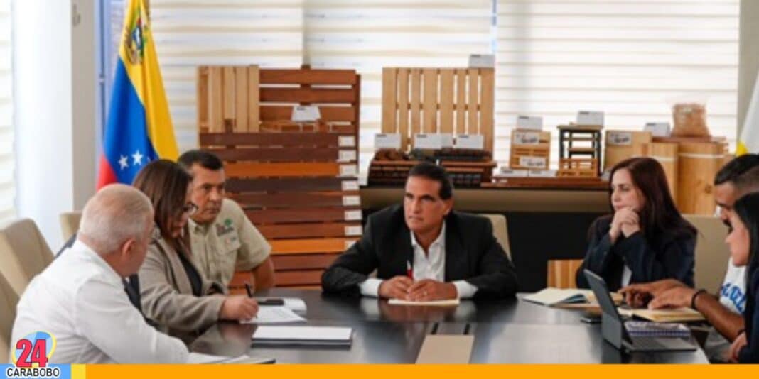 industria maderera de Venezuela