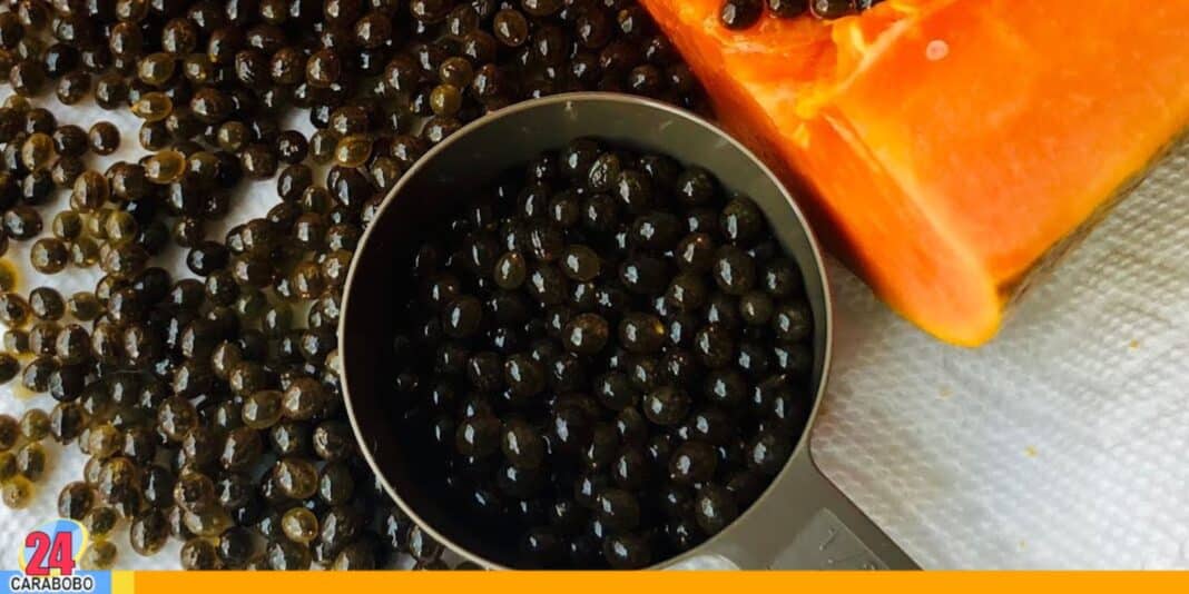 beneficios semilla de lechosa