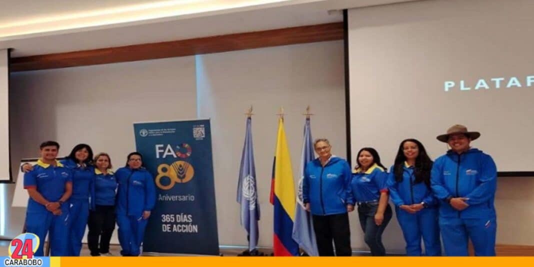 Venezuela monitoreo forestal
