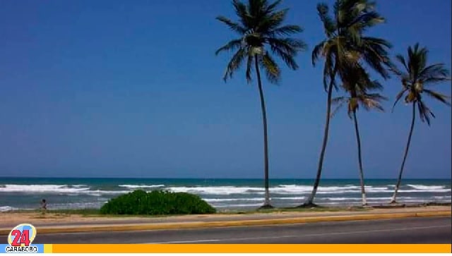 Reporte del clima hoy 29 de mayo de 2025