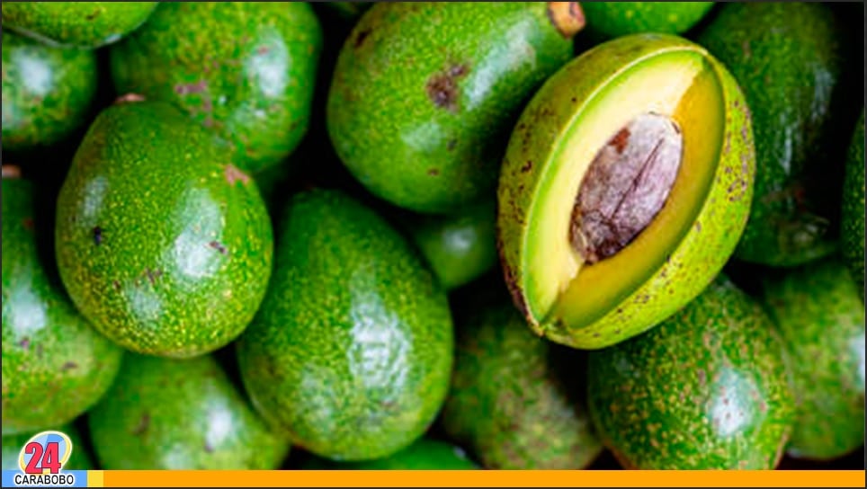 Precio del aguacate en mayo 2025 en Valencia