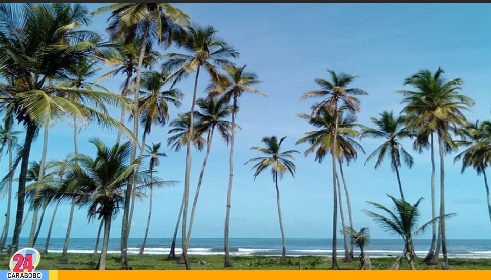Reporte del clima hoy 21 de mayo de 2025