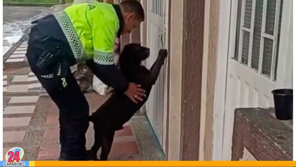 La requisa más tierna