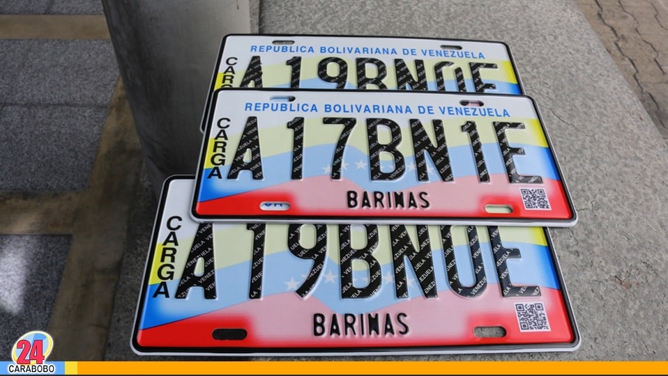Si pierdes una placa del vehículo