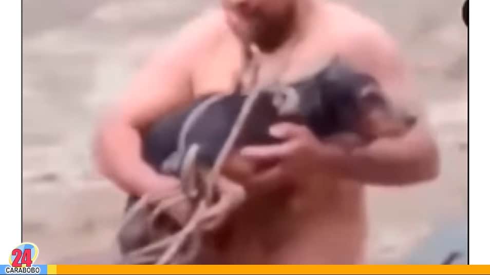 Hombre rescata a un perro en Colombia