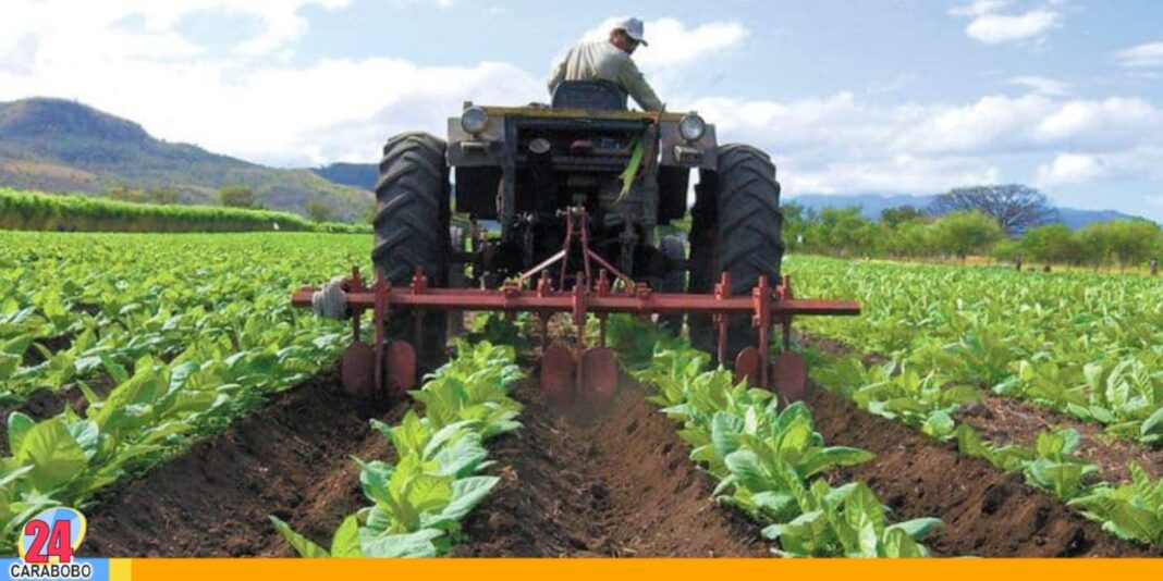 Venezuela 1ª Expo AgroAlba 2025