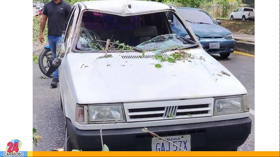 Árbol cayó sobre vehículo en Las Delicias de Maracay