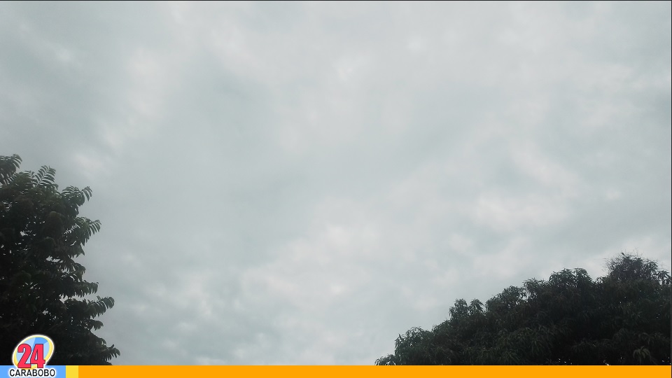 Clima hoy 29 de junio de 2025 y la Onda Tropical 10