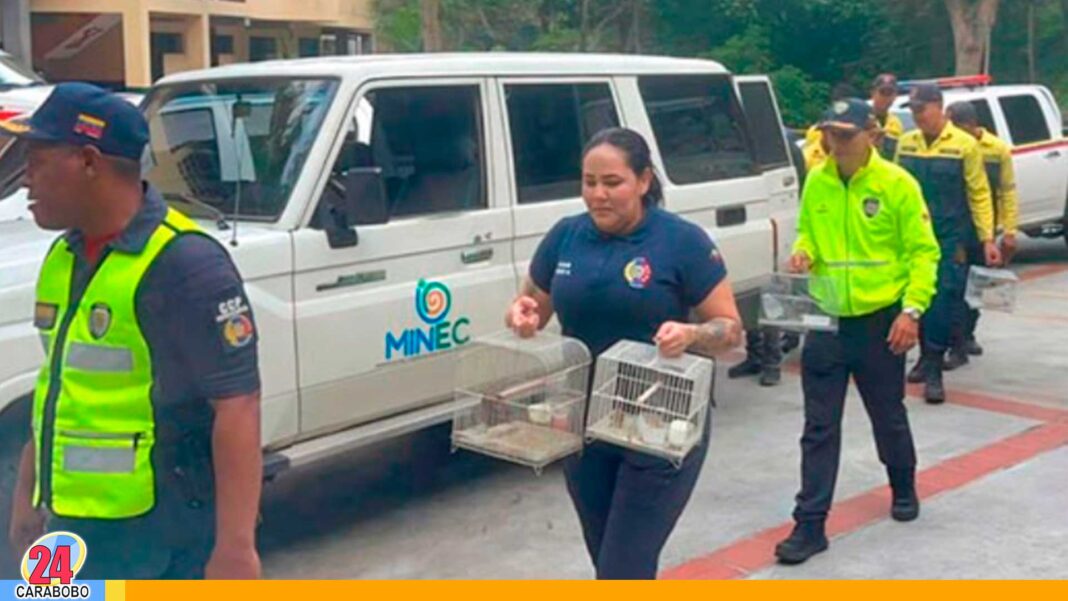 Liberadas aves en Petare