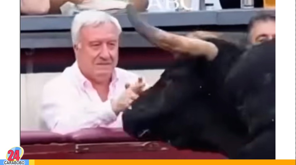 Toro saltó la cerca en Madrid