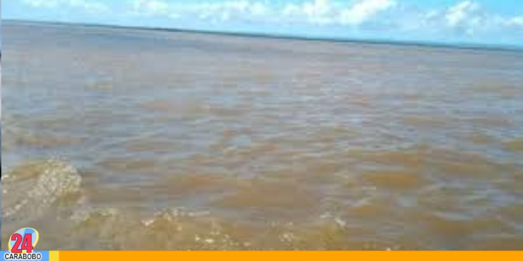 Nivel del río Orinoco