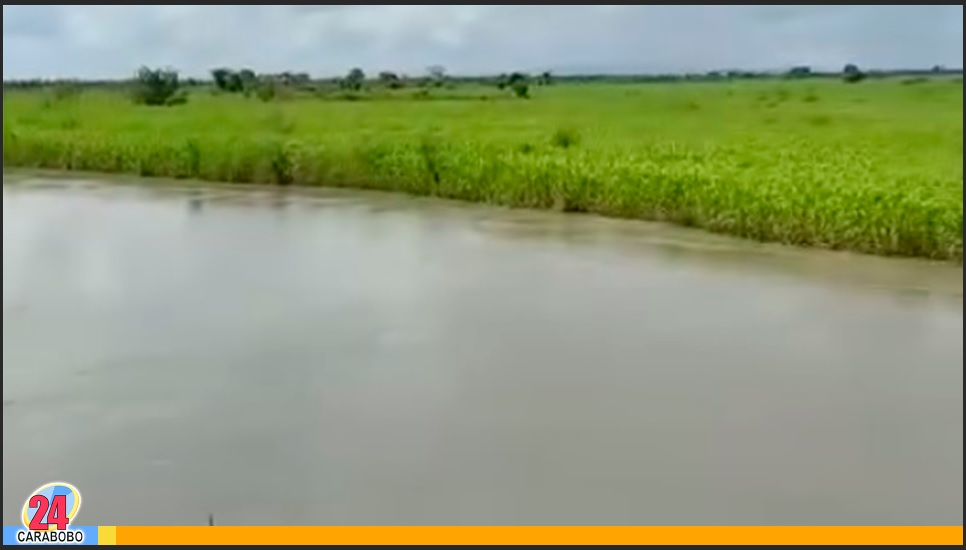 laguna en Cojedes
