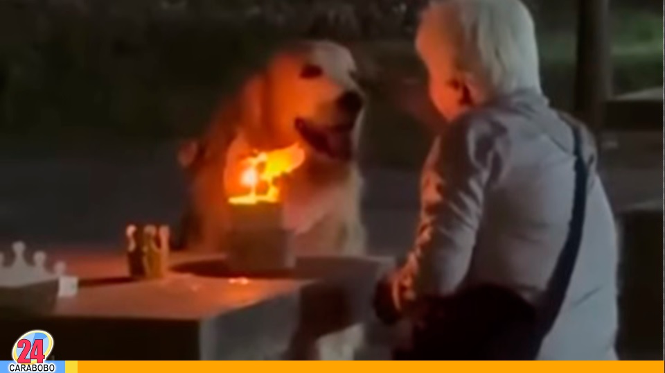 Abuela se hizo viral al celebrar el cumpleaños a su perro