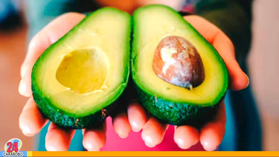 secretos de la semilla de aguacate