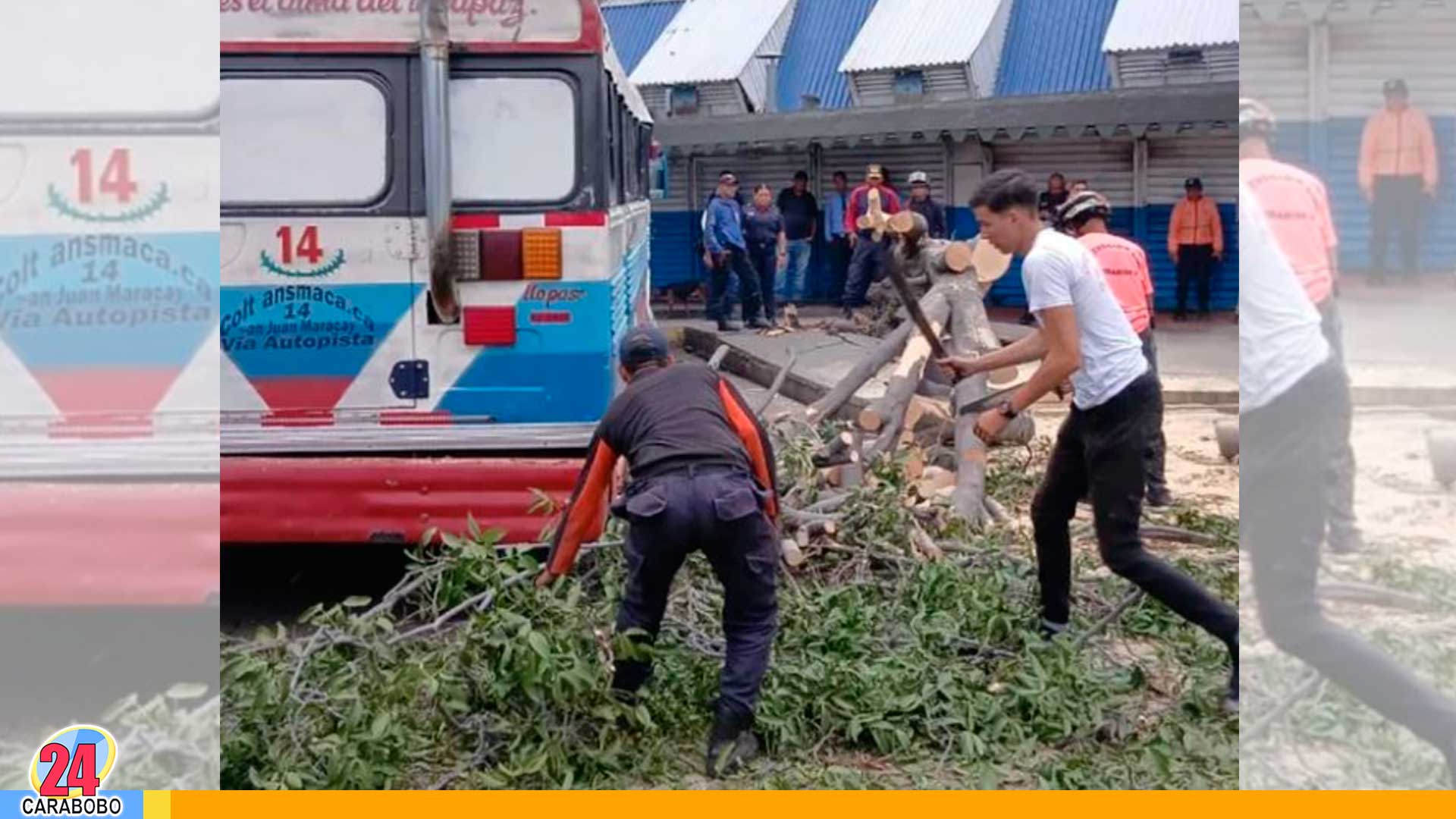 Árbol cayó sobre un autobús