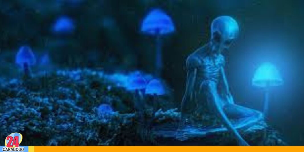 extraterrestres 2025