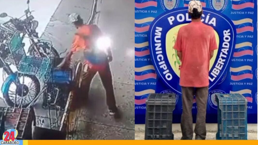 Sujeto que hurtaba cestas de hortalizas fue detenido en Carabobo