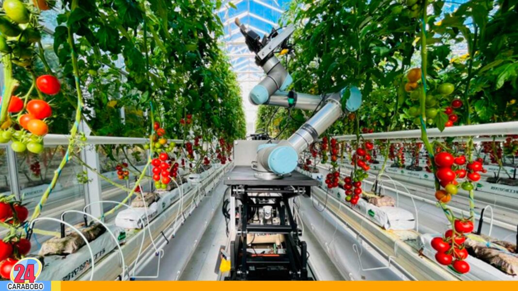 robot agrícola inteligente